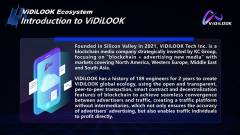 ViDiLOOK-REWARD-MODEL-2